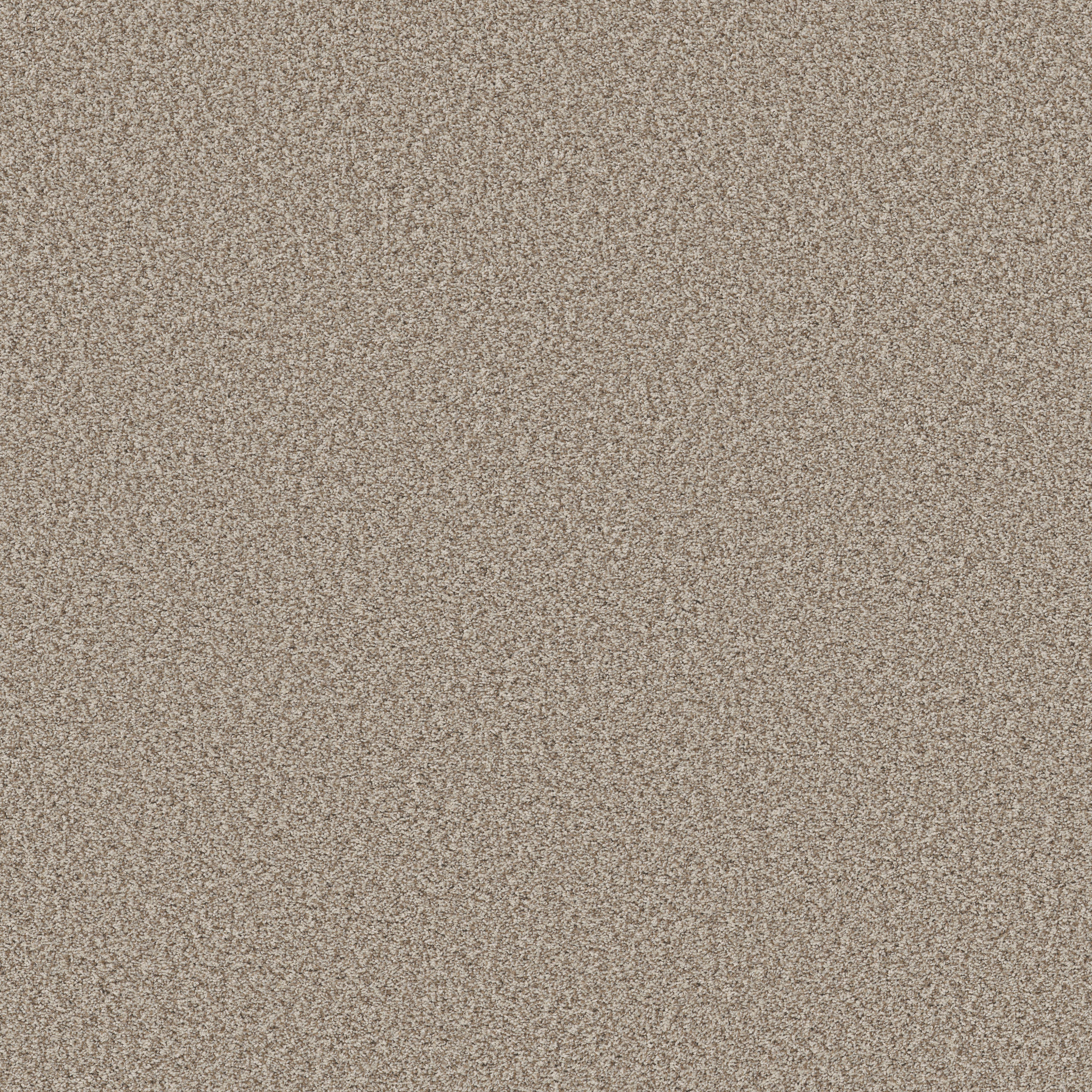 Shaw Floors - PRESCOTT VALLEY by Shaw Floors - Spun Cotton