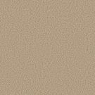 Shaw Floors - PRESCOTT VALLEY by Shaw Floors - Beach Grass