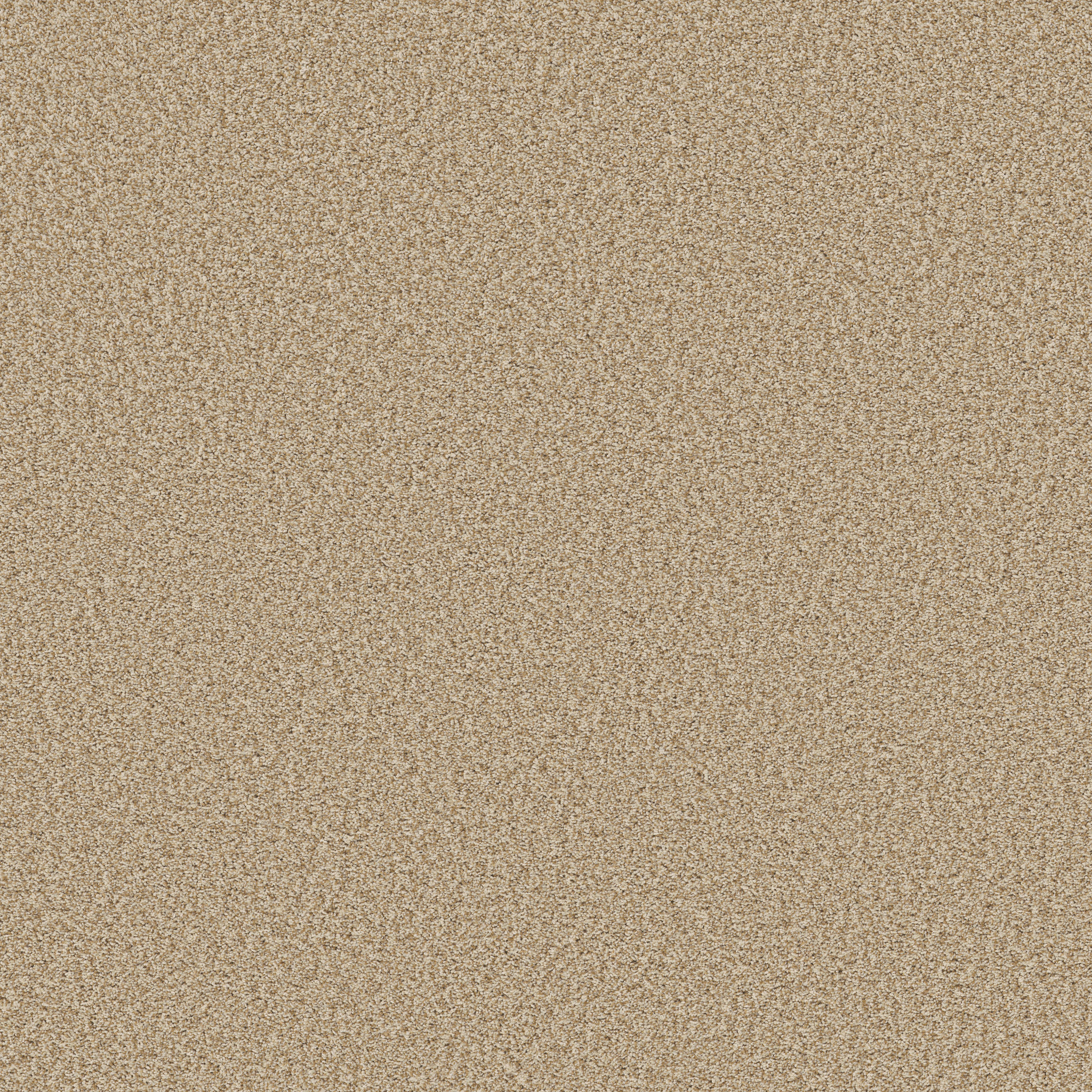 Shaw Floors - PRESCOTT VALLEY by Shaw Floors - Beach Grass