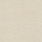 Alluring Disposition by Shaw Floors