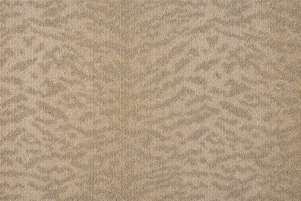 Tiger Point by Nourison Home | Wool Blend Carpet | Rug