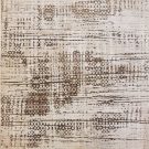 Dream-Come-True-Unprecedented-photo