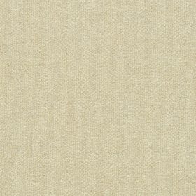 Fresh Canvas