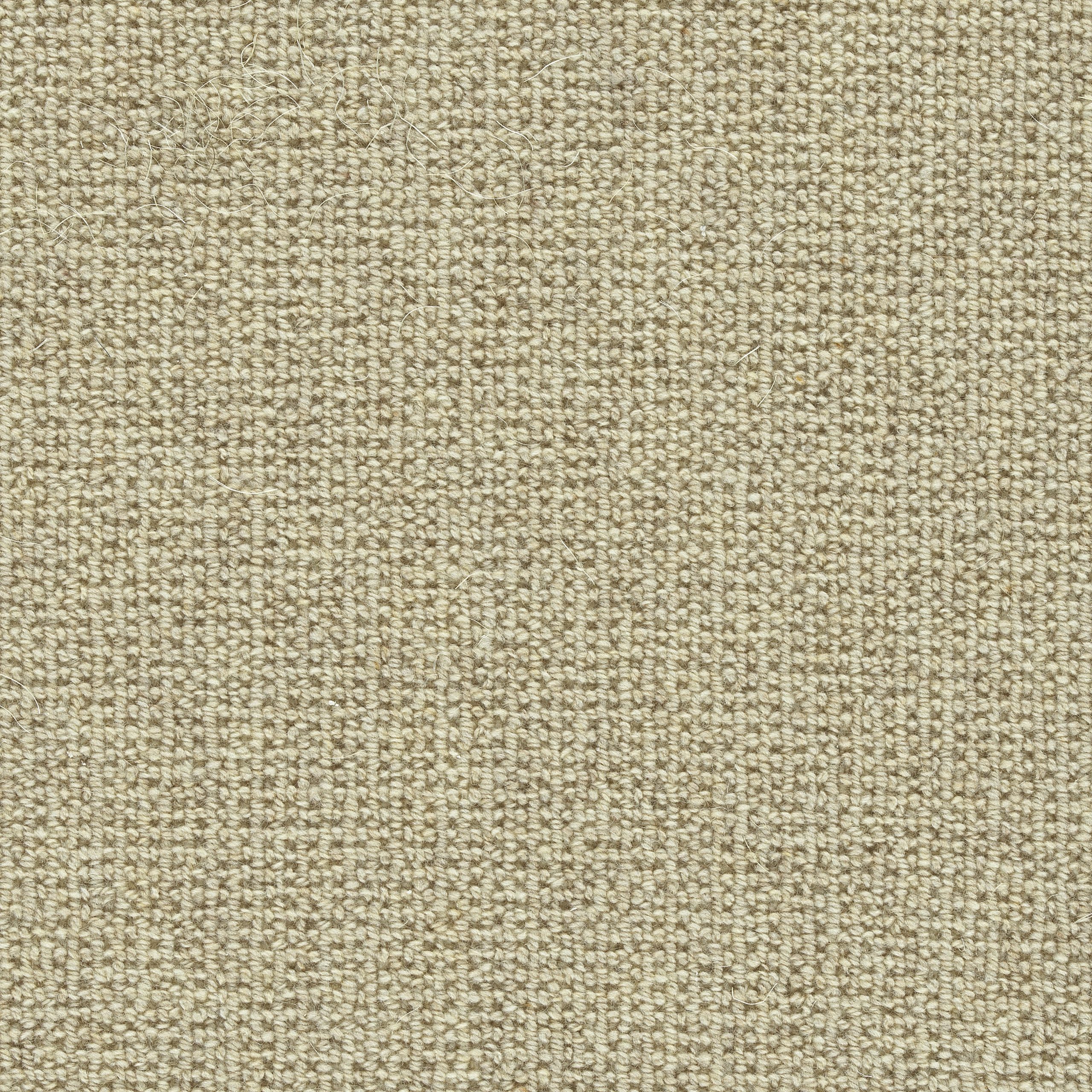 WashingtonSquare_Heirloom-scaled