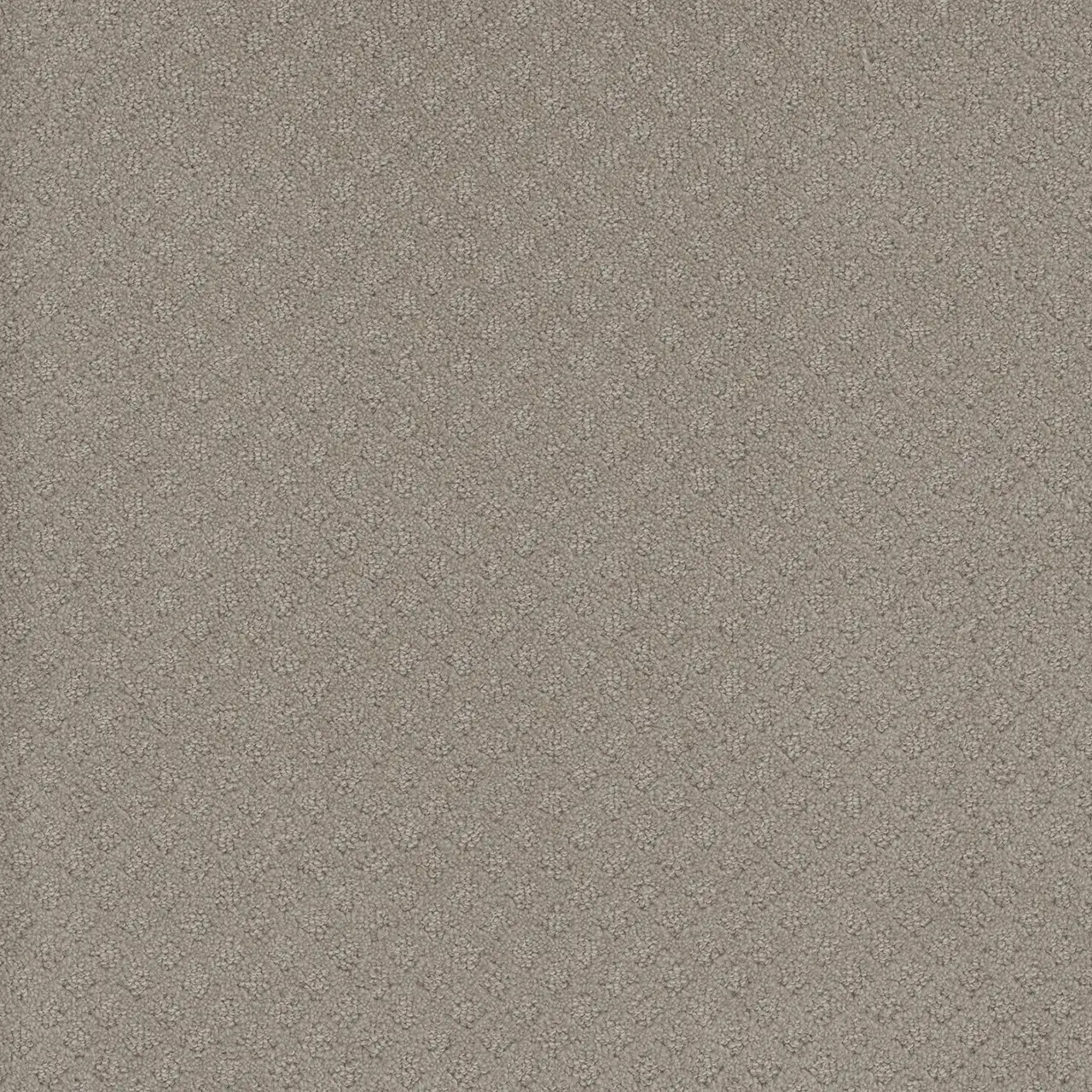 arrowhead-capri-engineered floors