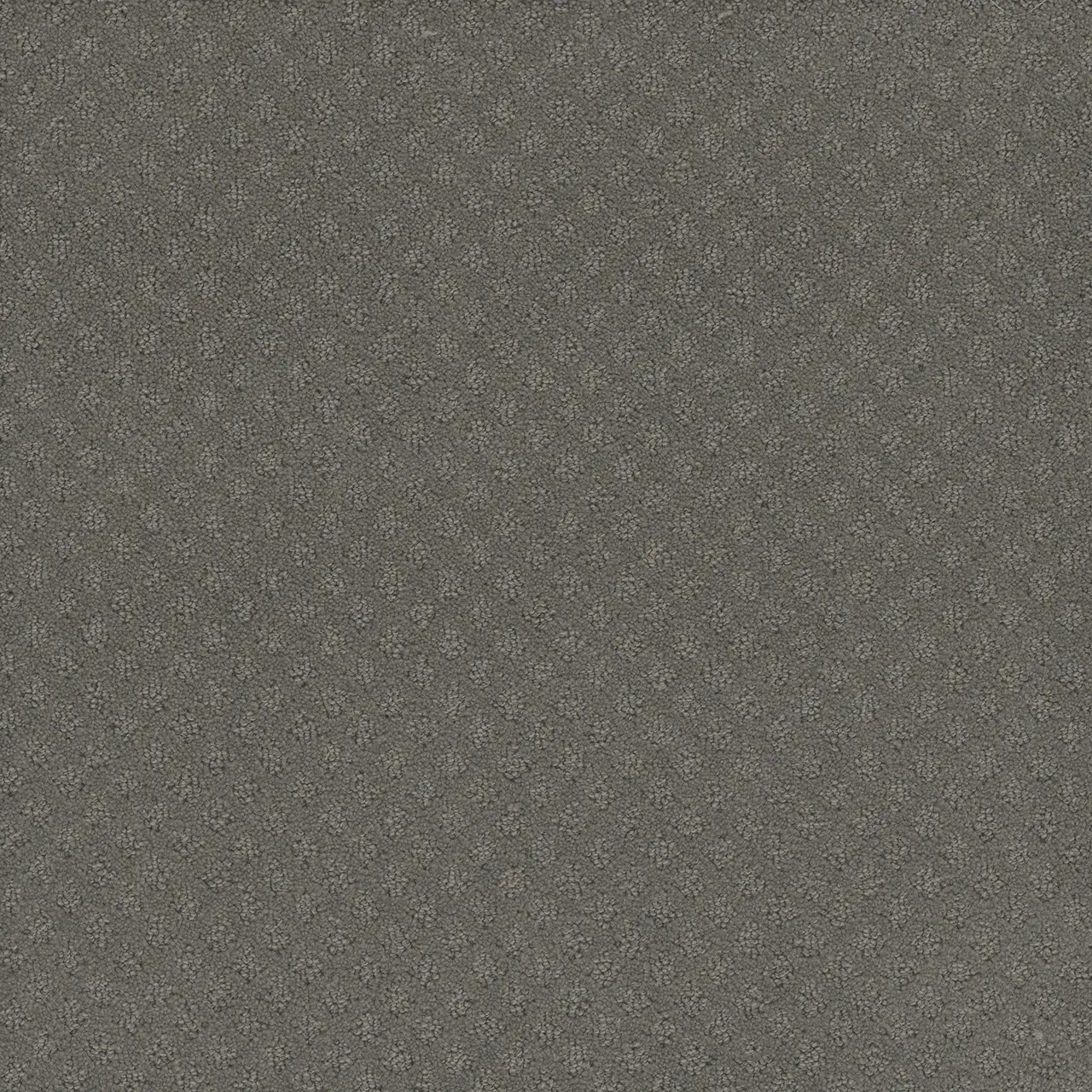 bayside-capri-engineered floors