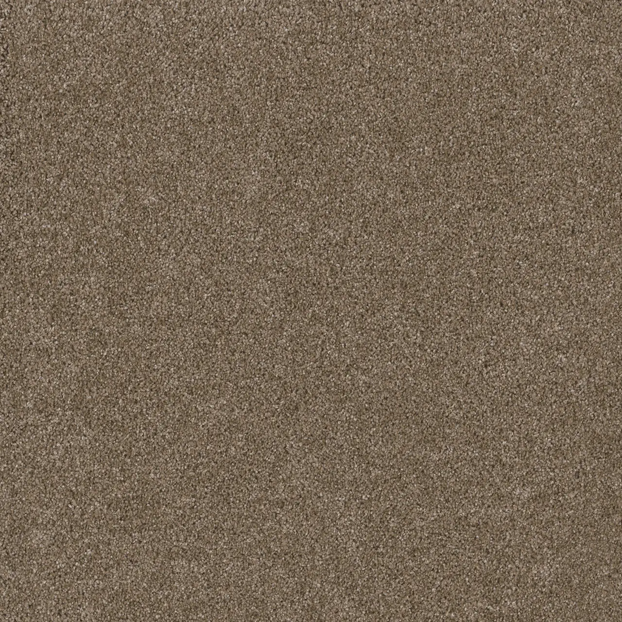 acorn-stunning-engineered floors