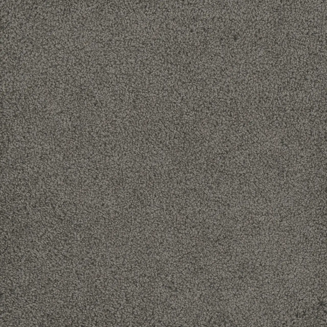 bayside-hammond creek-engineered floors