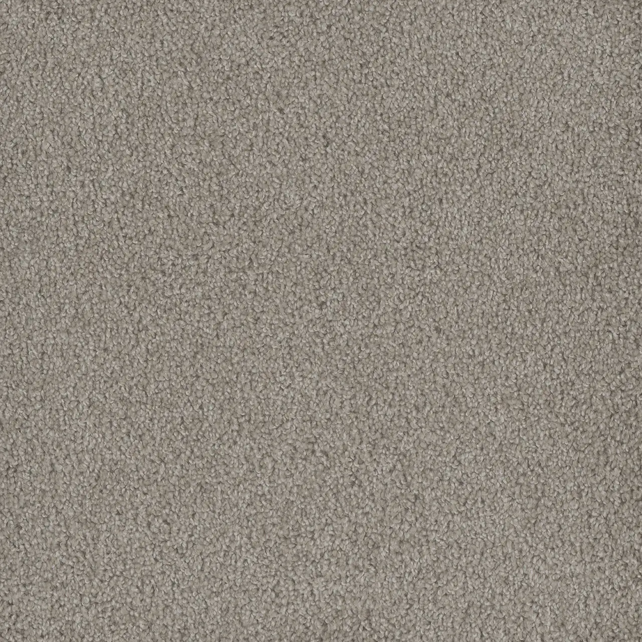 clam shell-hammond creek-engineered floors