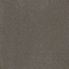 eucalyptus-metropolis-engineered floors