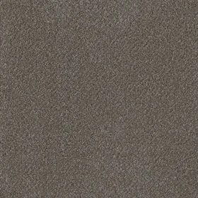 Eucalyptus