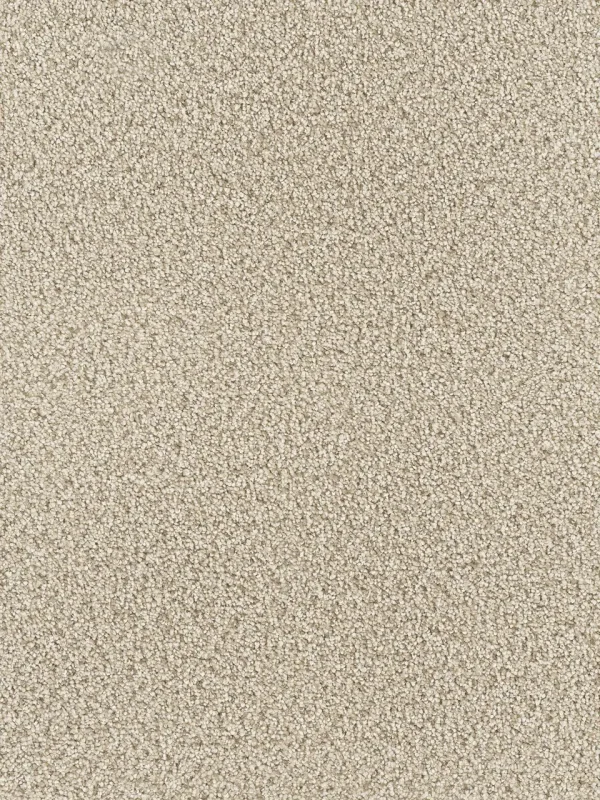 Montauk by Engineered Floors Dreamweaver | Carpets in Dalton