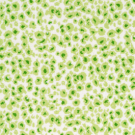 margarita-link-ashley stark