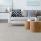 rs-2-lucky-penny-i-dreamweaver-carpet-rug