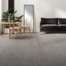 rs-gold-standard-i-dreamweaver-carpet-rug