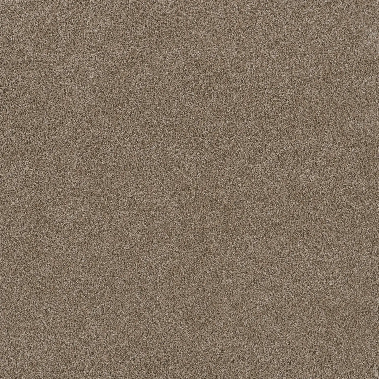 tumbleweed-stunning-engineered floors