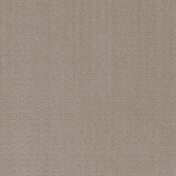 Caspian by Engineered Floors Dreamweaver | Carpets in Dalton