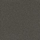 DreamWeaver - NO LIMITS III by Engineered Floors - 2024 Magnetic