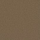 DreamWeaver - BROADCAST PLUS by Engineered Floors - 510 Honey Beige