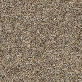 795 Harmonic Tan