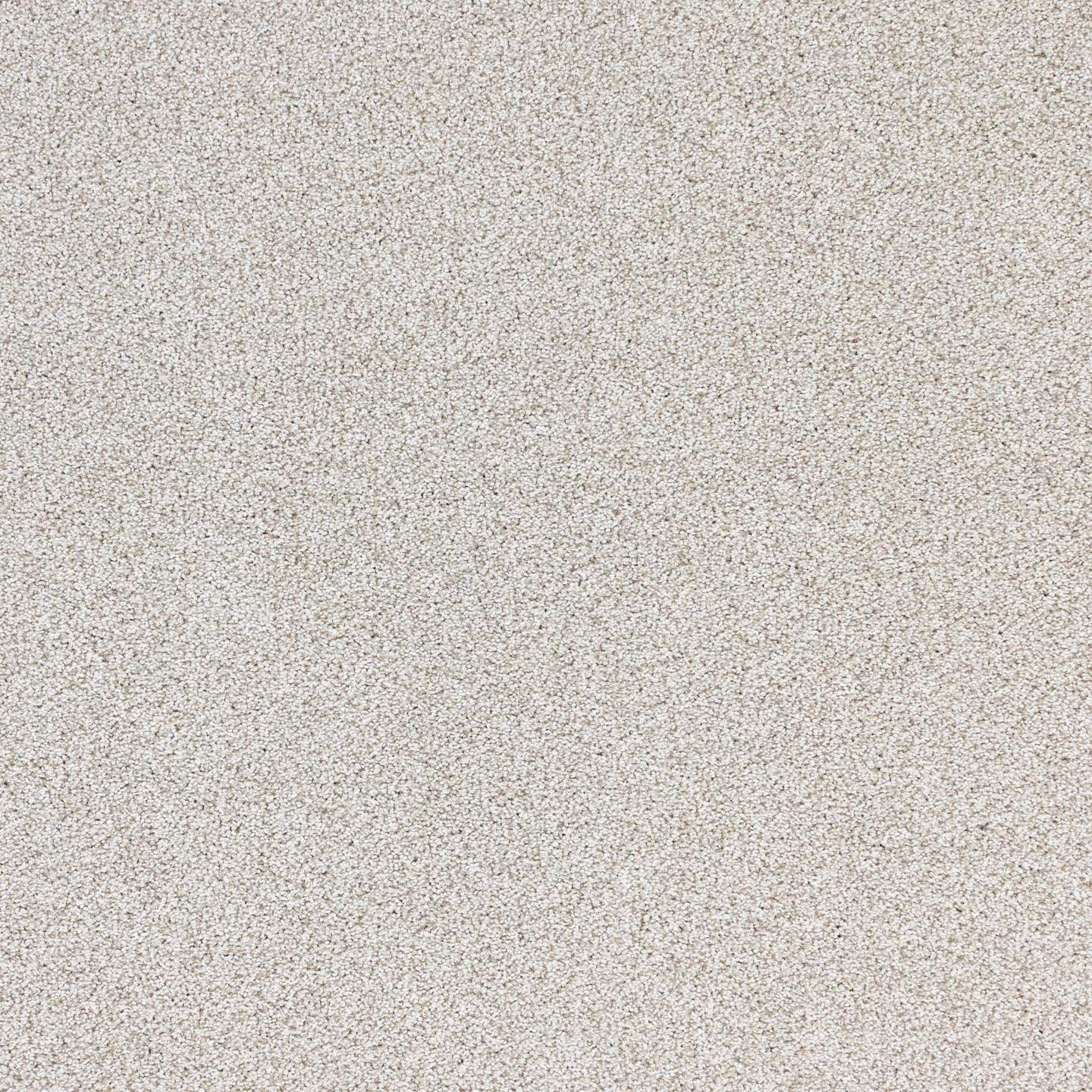 Nuance_5504Misty-southwind