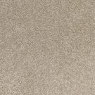 RadiantBeauty_1310TaupeTones_southwind