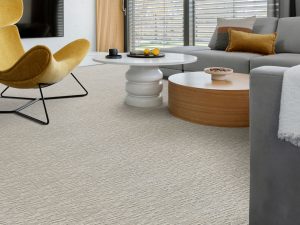 rs-oxford-ii-dreamweaver-carpet-rug