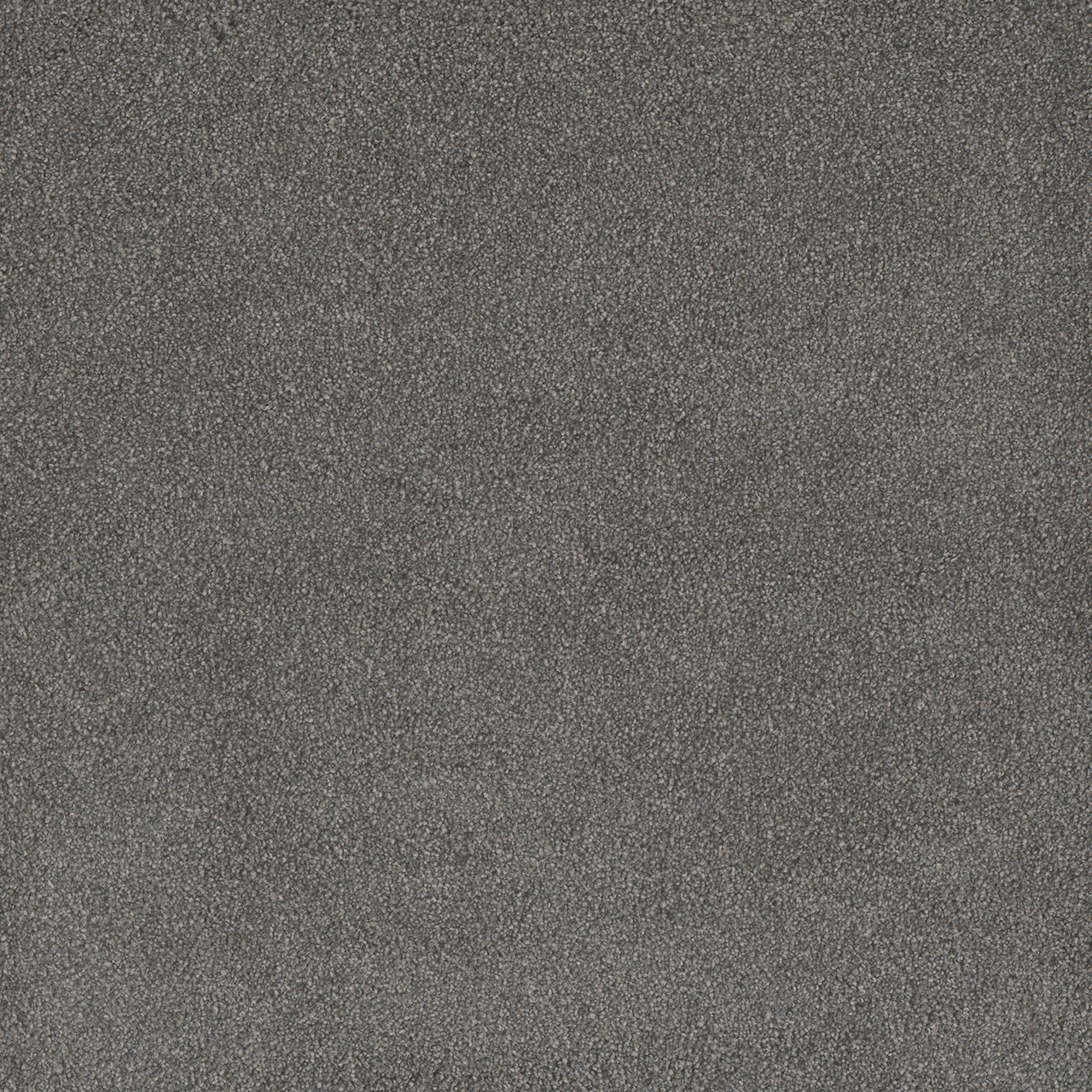 bay leaf-palmetto III-engineered