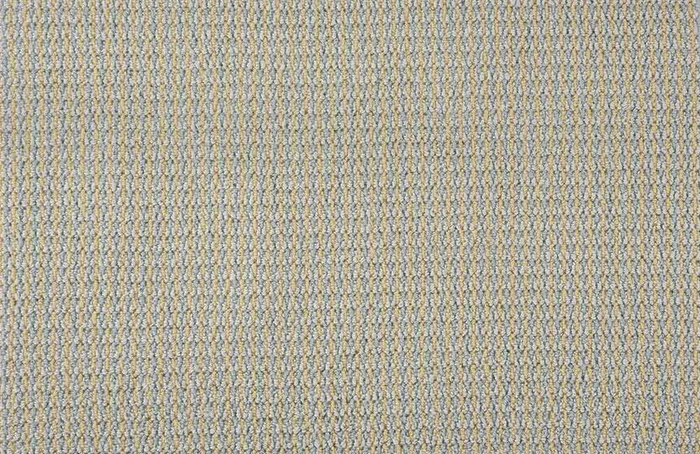 hagaman-expressions nexus 2-horizon