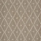 hagaman-lustrous Paragon-sparrow