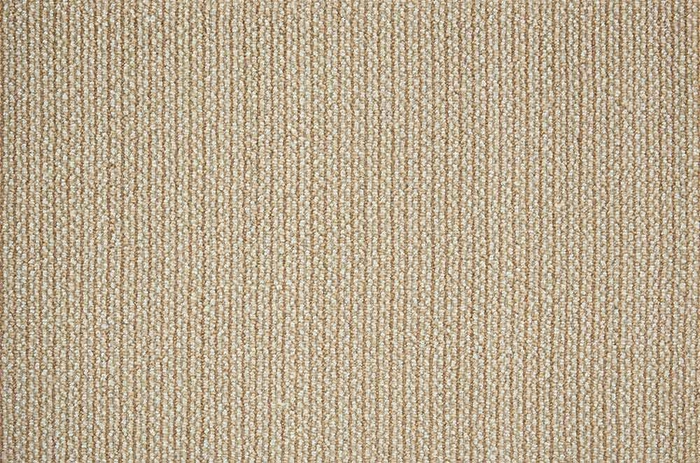 hagaman-lustrous landscape-camel