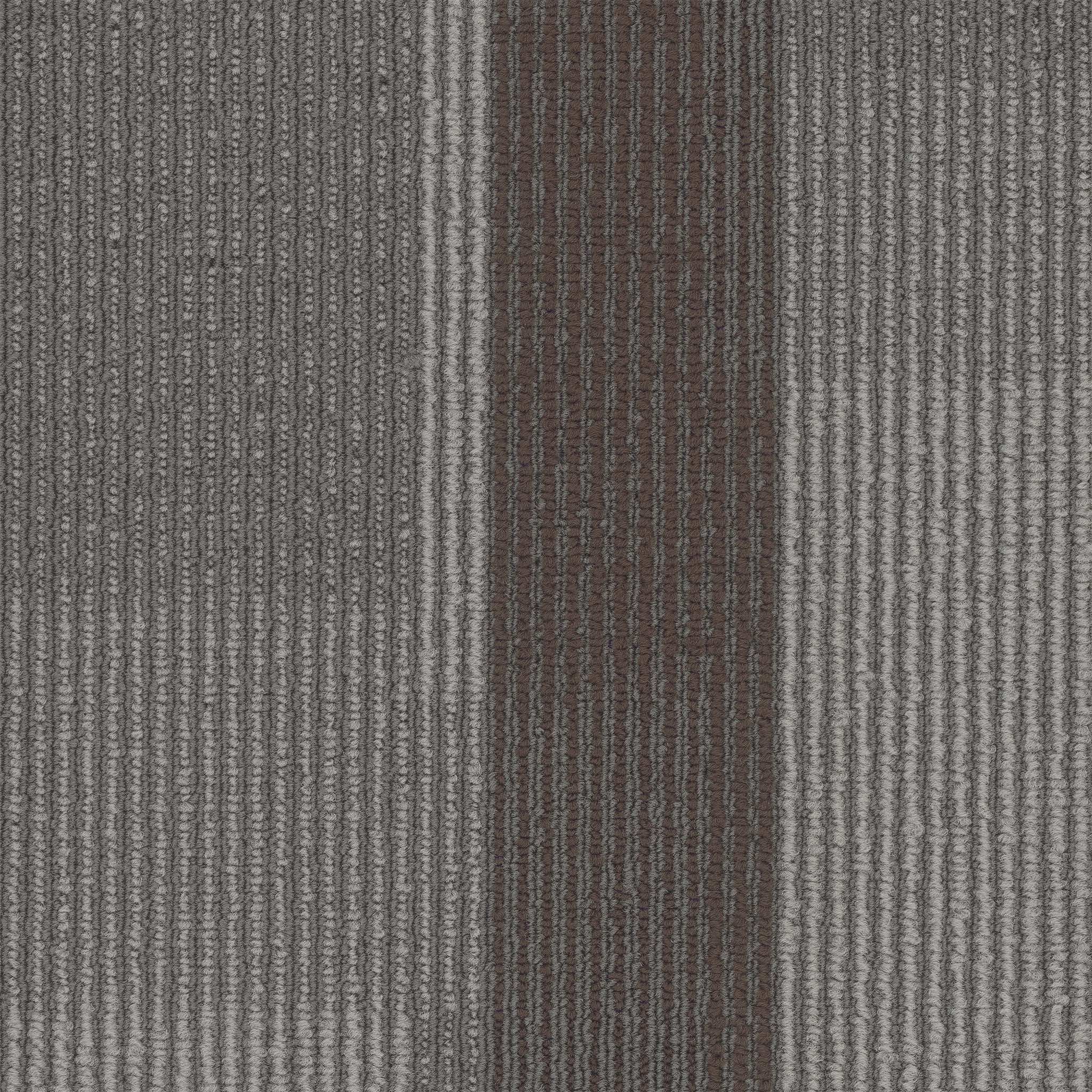 amplify plank-carob-pentz