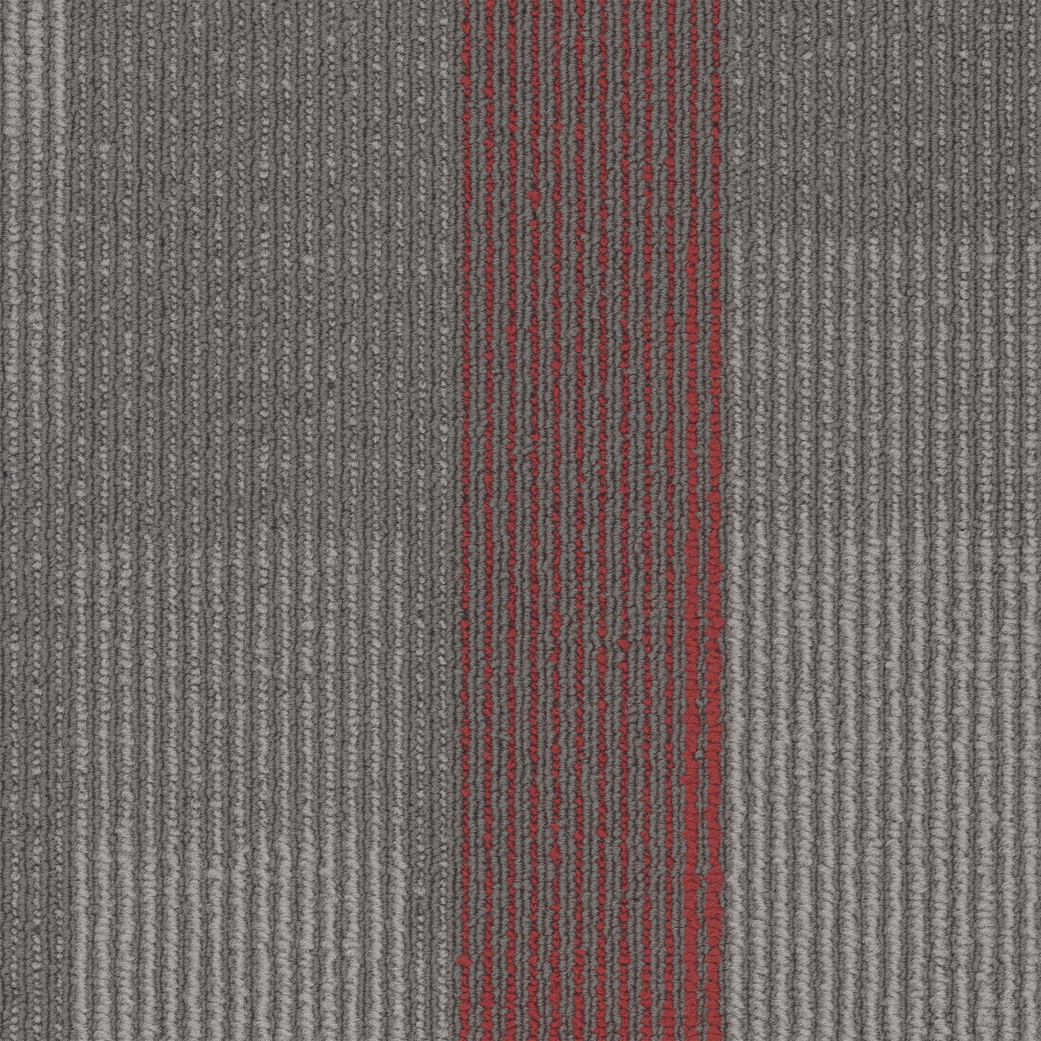 amplify plank-crimson-pentz