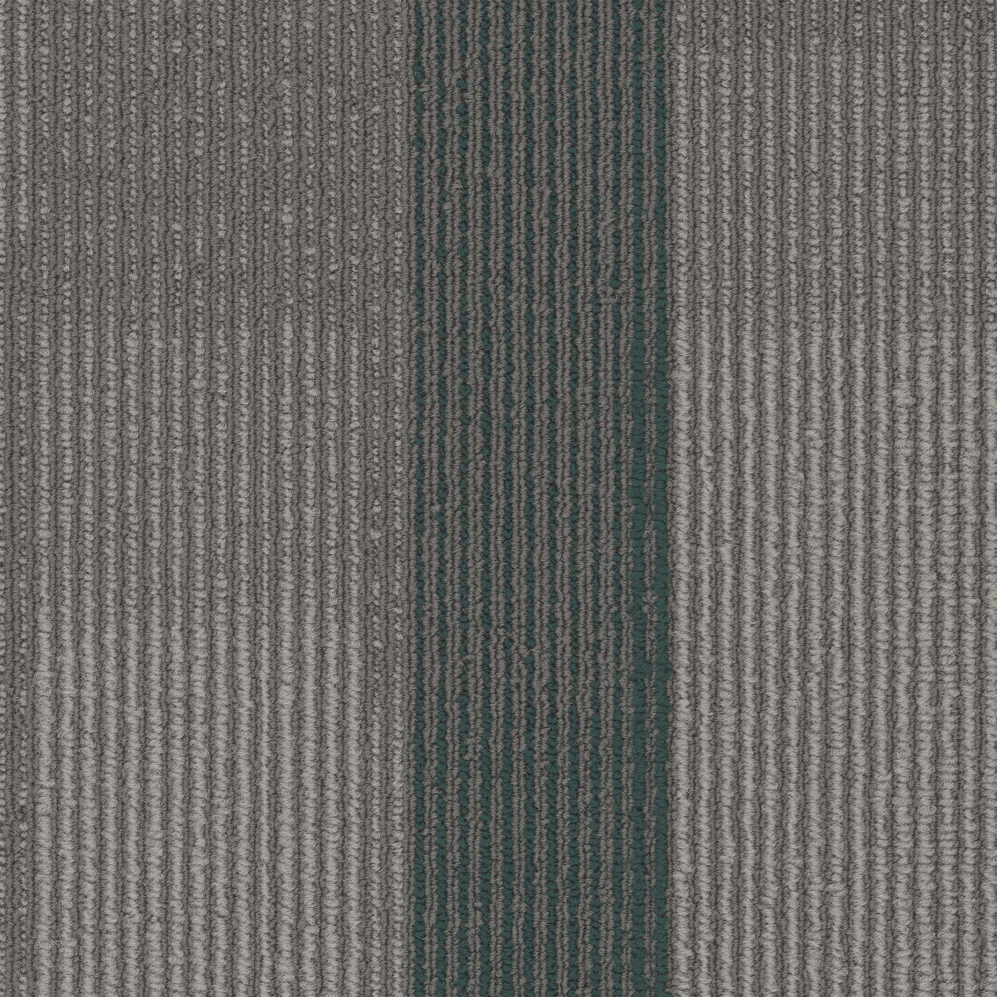 amplify plank-ocean tropic-pentz