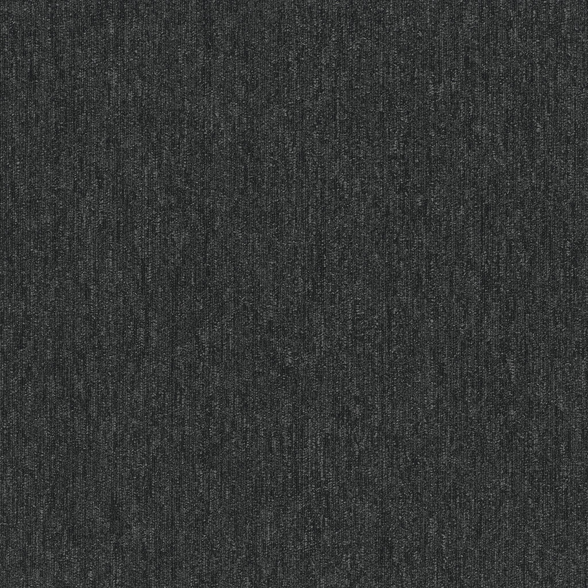colorpoint-pentz-.charcoal