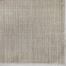 Sandpiper_kite-katha