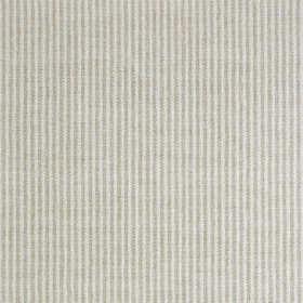Dove