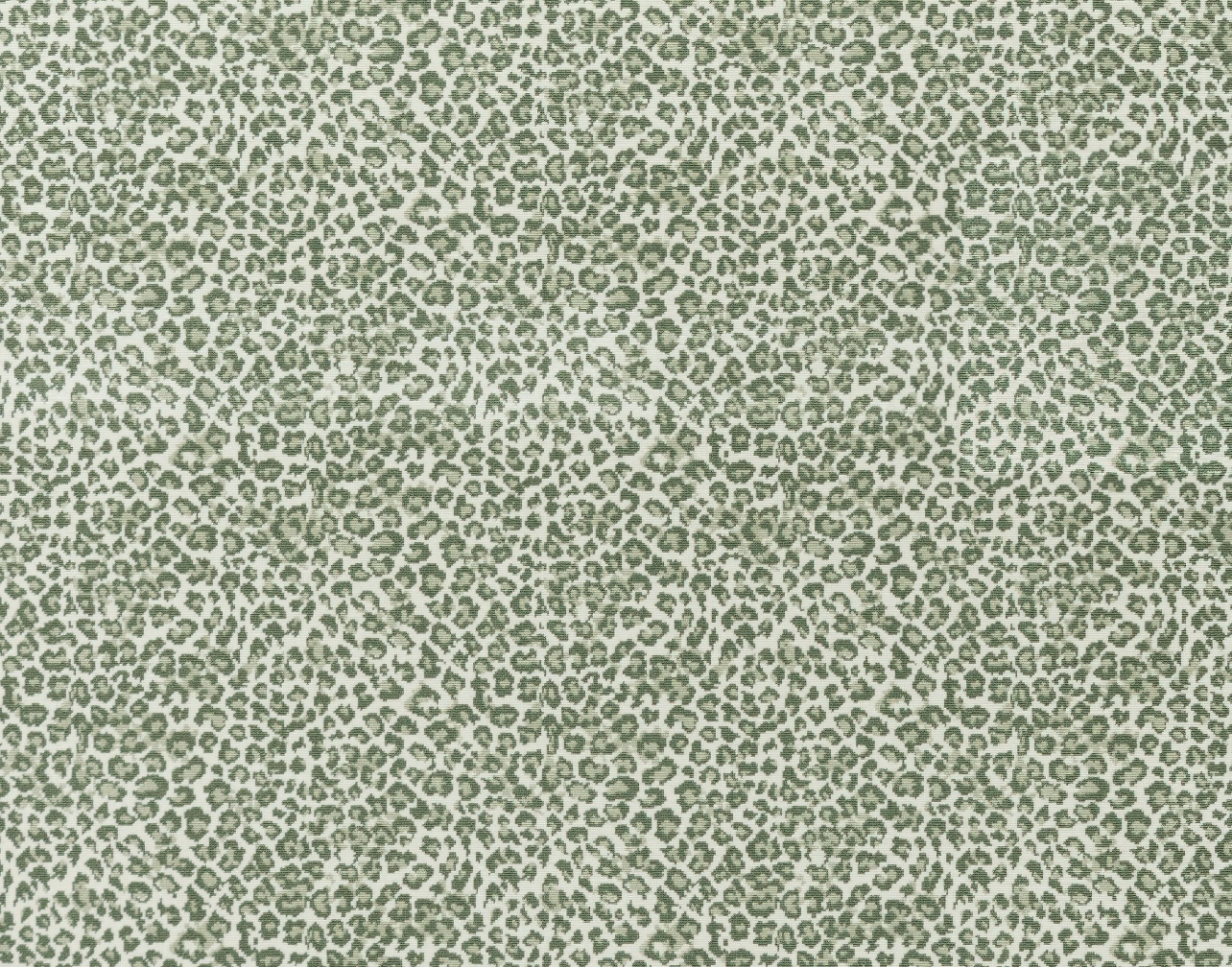 wildlife-grass-prestige