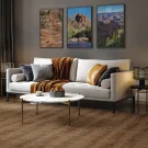 room-cognac-barra-crescent-carpet-stanton-rug