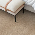 room-golden-sand-henry-stanton-carpet-rug