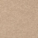 001-sp395-mohawk-carpet-rug