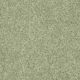 646