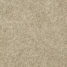737-sp423-mohawk-carpet-rug