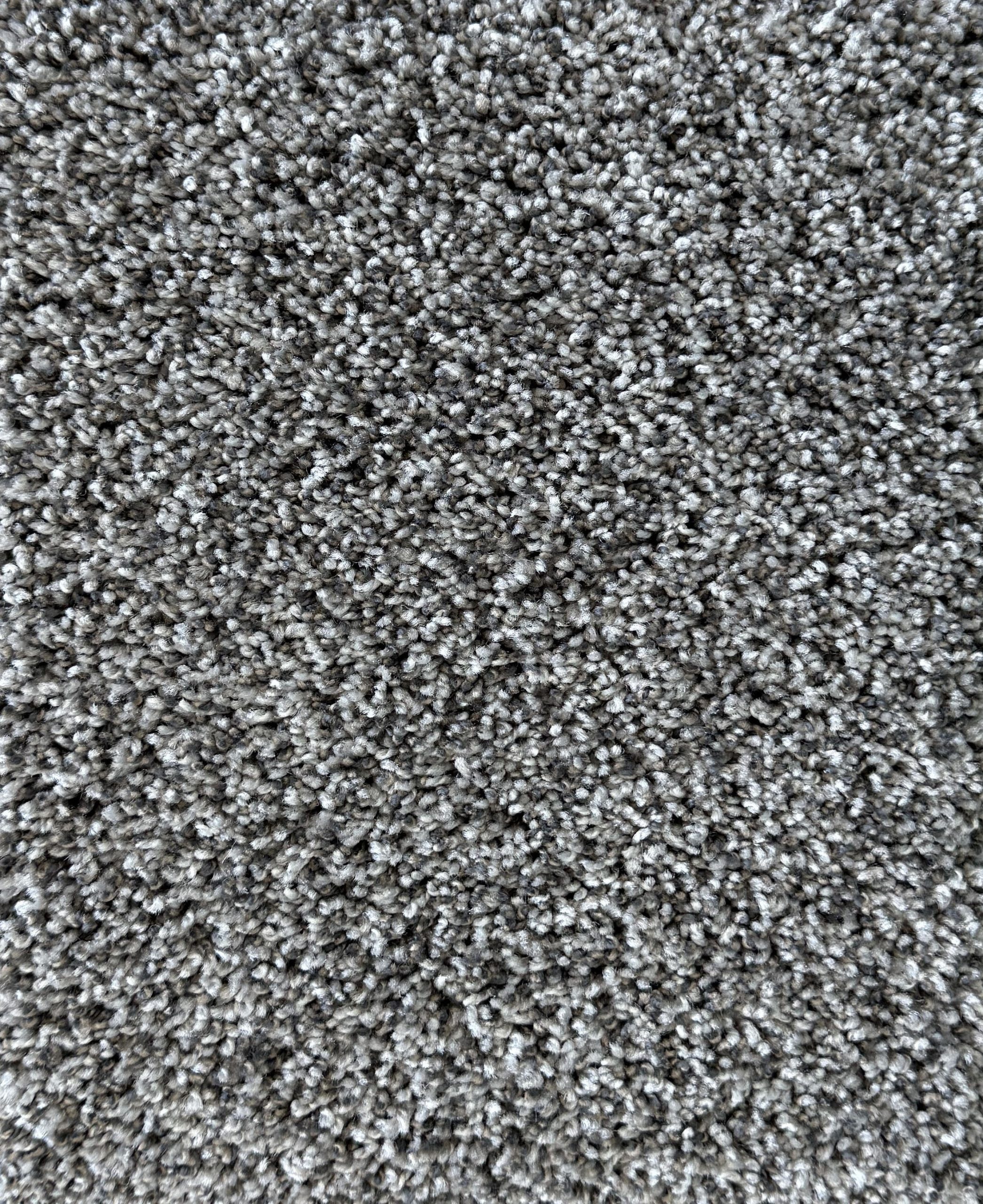 SP38 Stocking Special Cheap Clearance Carpet