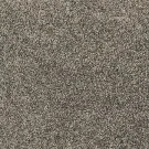 ash-paw-pathway-mohawk-carpet-rug