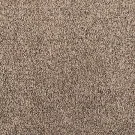 blissful-grandeur-living-mohawk-carpet-rug