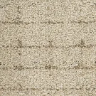 dune-drift-paw-some-plaid-mohjawk-carpet-rug