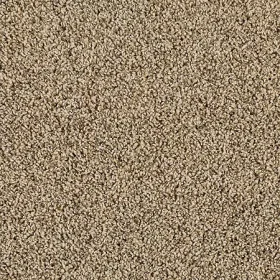 Flax Seed
