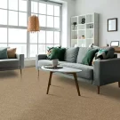 room-749-sp422-mohawk-carpet-rug