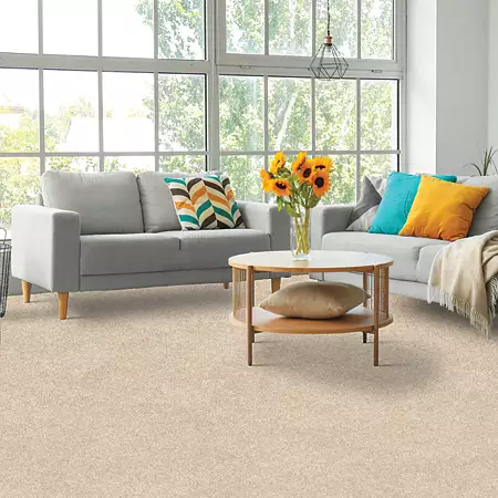 Paw Pathway by Mohawk